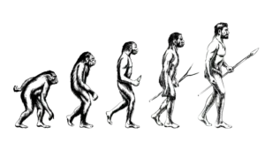 anthropology upsc optional notes